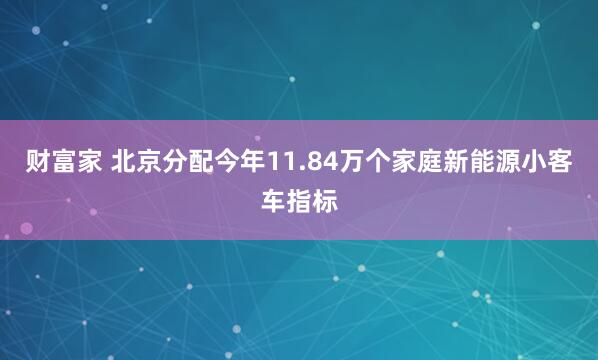 财富家 北京分配今年11.84万个家庭新能源小客车指标
