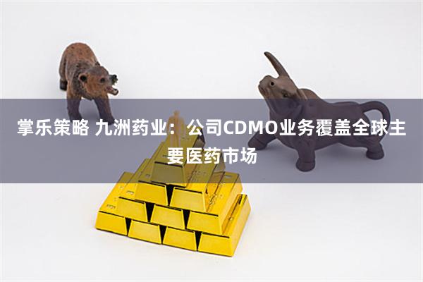 掌乐策略 九洲药业：公司CDMO业务覆盖全球主要医药市场