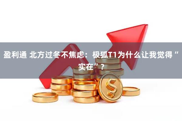 盈利通 北方过冬不焦虑：极狐T1为什么让我觉得“实在”？