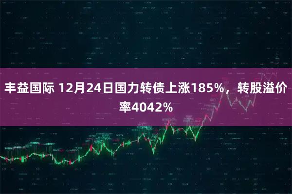 丰益国际 12月24日国力转债上涨185%，转股溢价率4042%